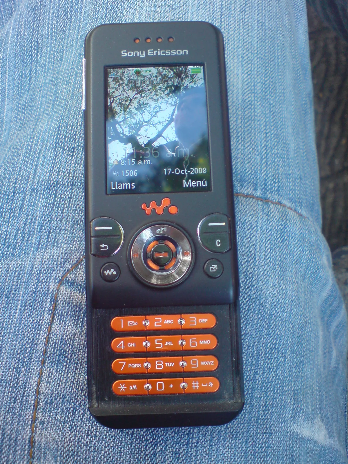 Sony Ericsson W580i