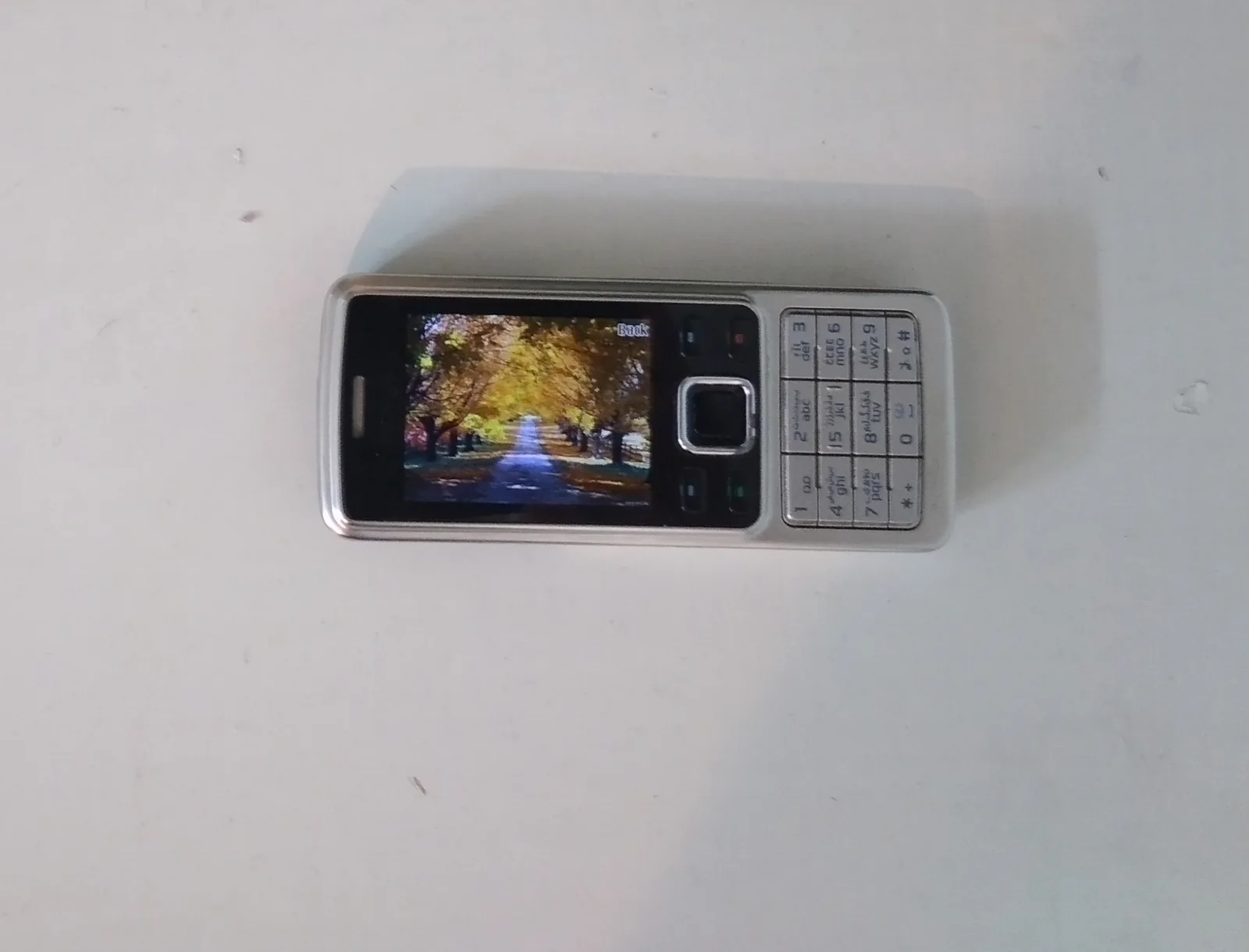 Nokia 6300